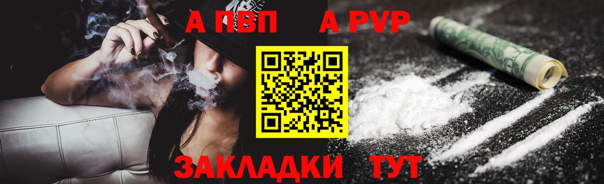 A PVP СК  Вход с VPN  где найти   Кузнецк 