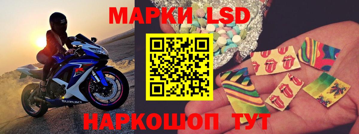 Кузнецк  blacksprut ссылки  Вход с VPN  LSD-25 экстази ecstasy  Лсд 25 экстази ecstasy  Лсд 25 экстази 
