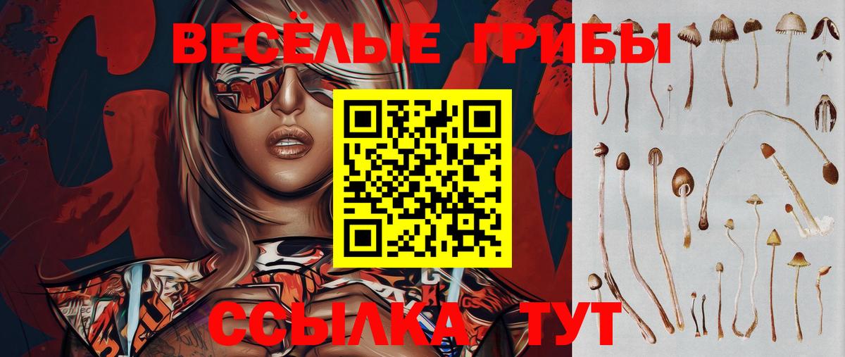 Галлюциногенные грибы мицелий Кузнецк