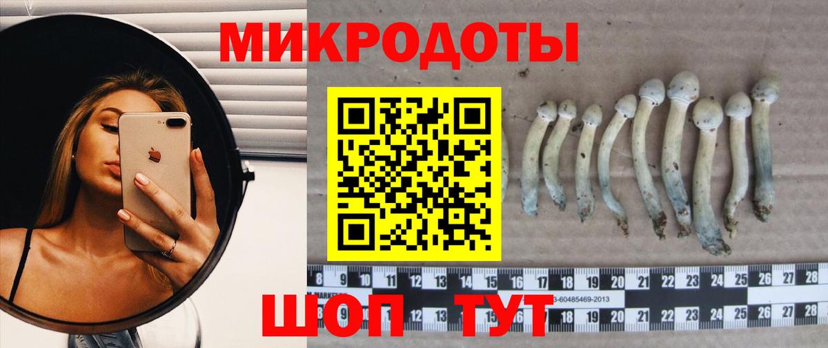 Кузнецк  Псилоцибиновые грибы Cubensis  Вход с VPN 